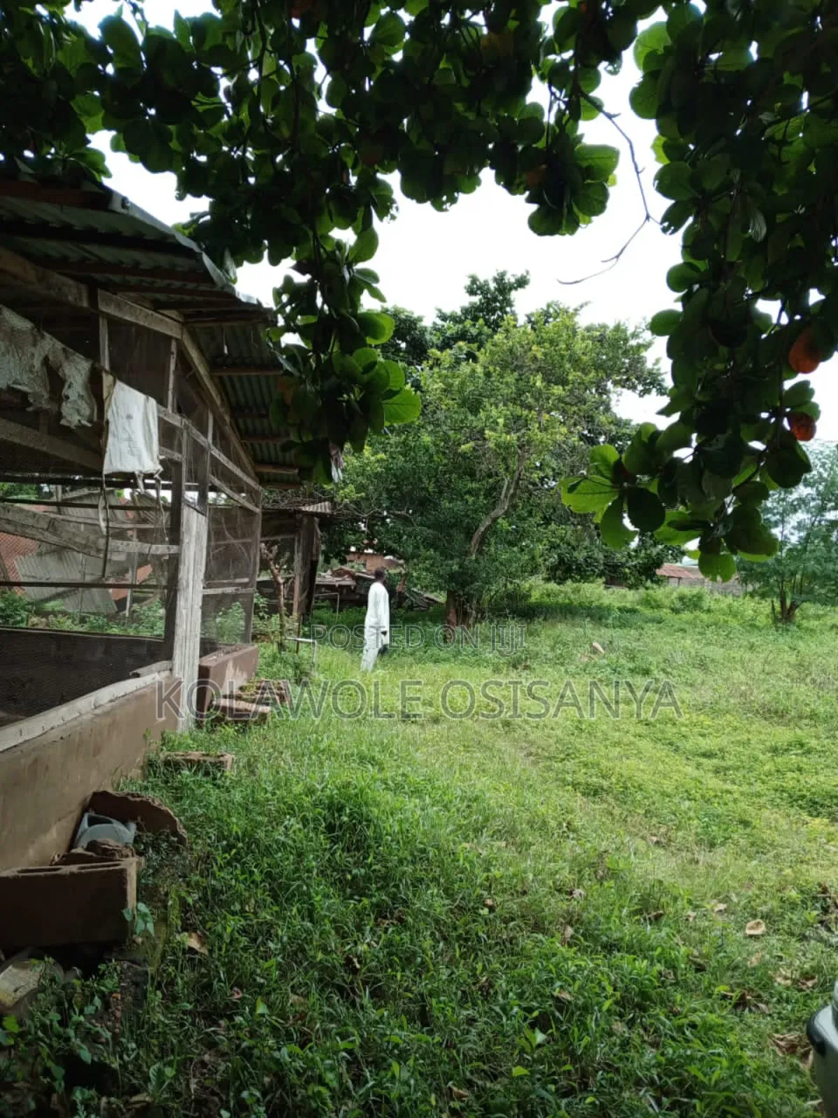 Poultry Farm on 4acres of Land at Apete Awotan in Ibadan