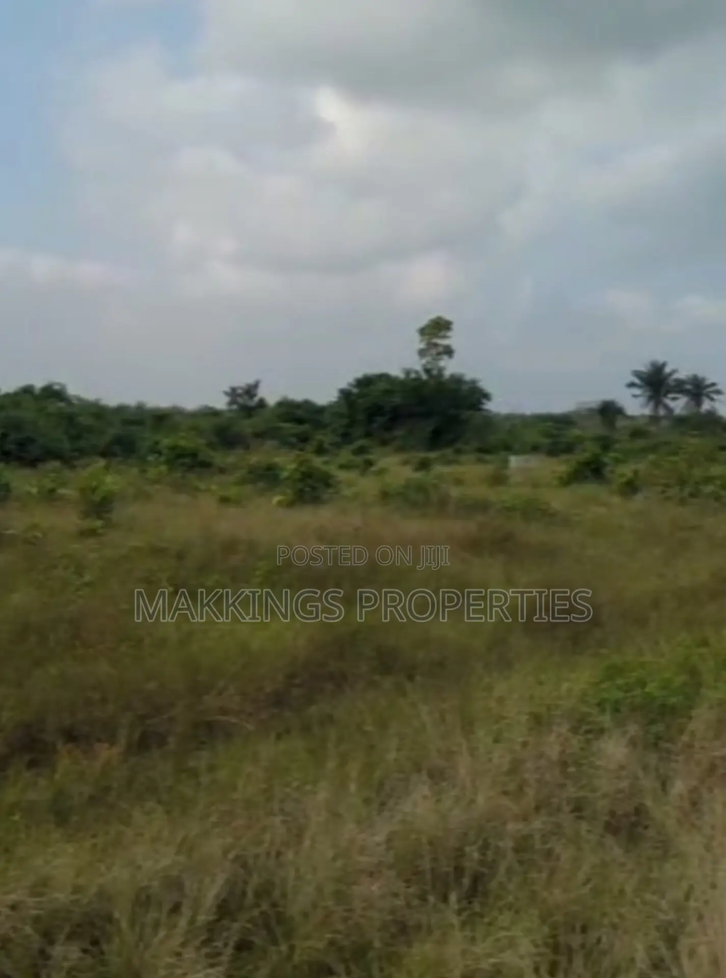 December Flash Sales - Distress Sales in Off Lekki-Epe Expressway