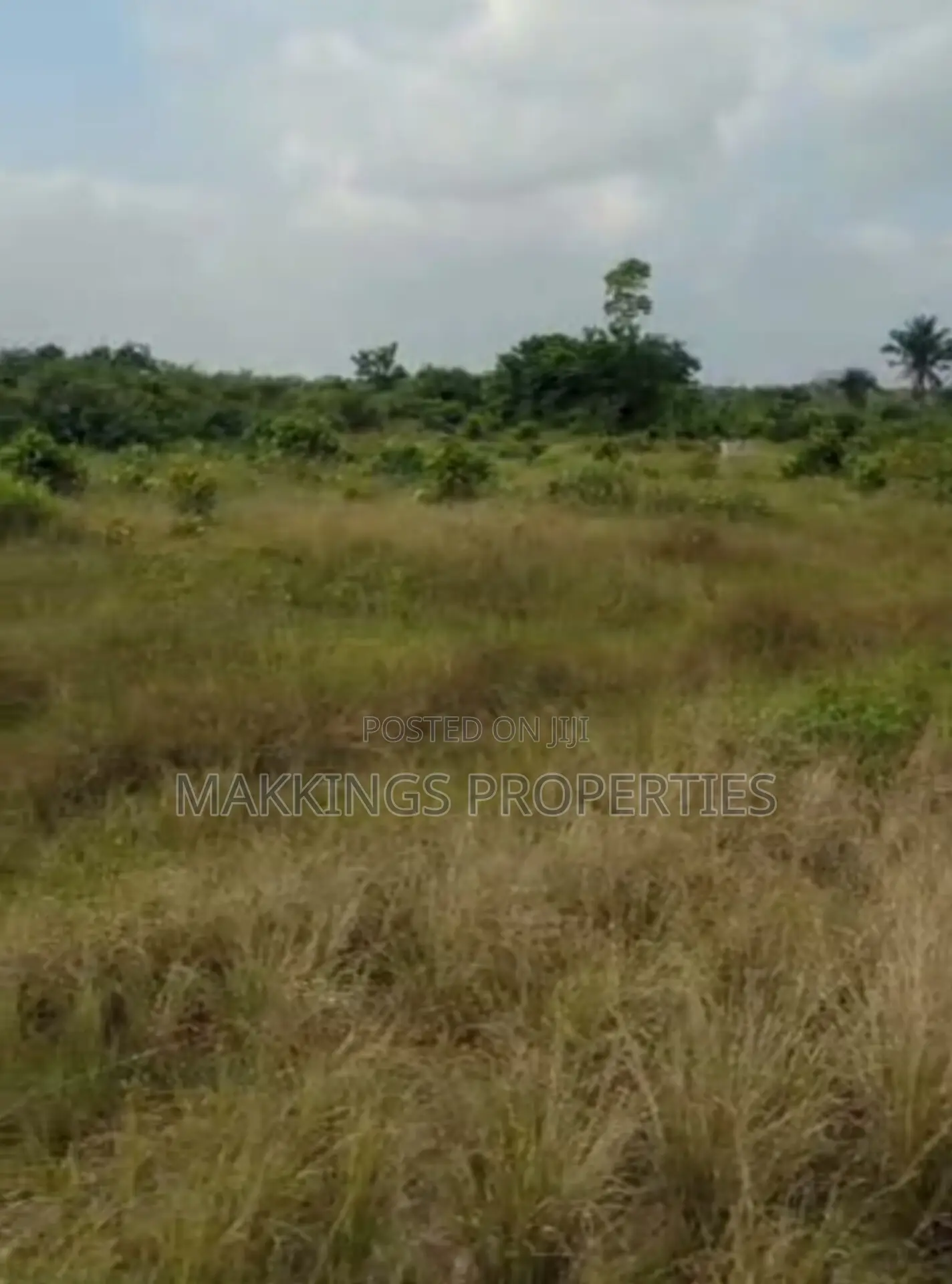 December Flash Sales - Distress Sales in Off Lekki-Epe Expressway