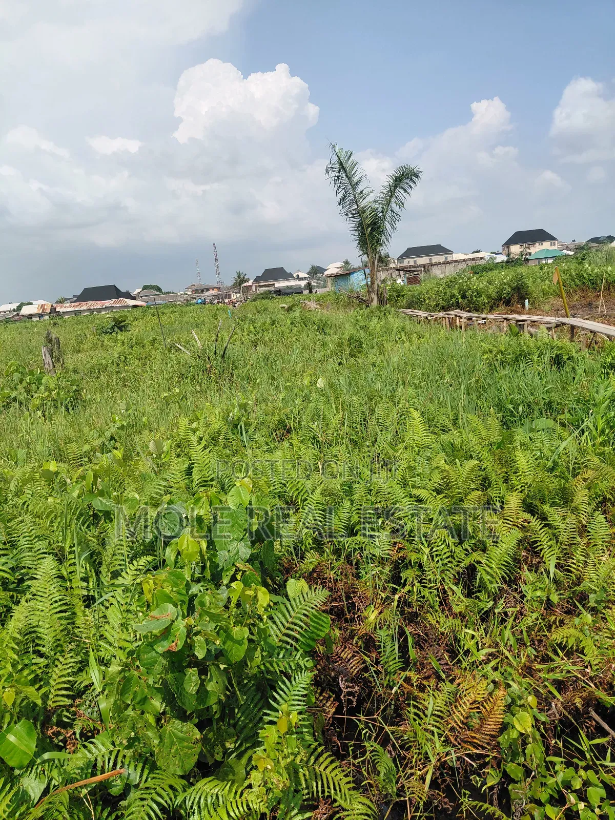 300sqm Unity Bustop Ijegemo Near Ikotun Alimosho in Ijegun