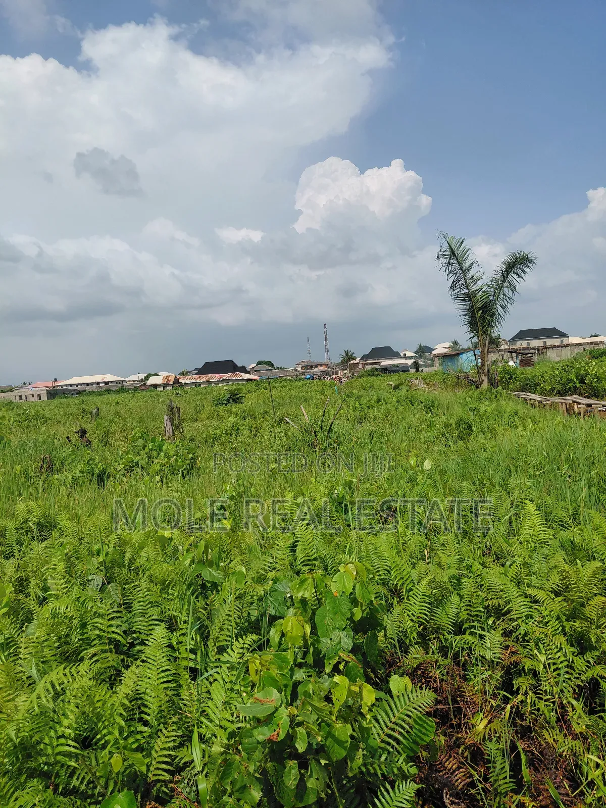 300sqm Unity Bustop Ijegemo Near Ikotun Alimosho in Ijegun