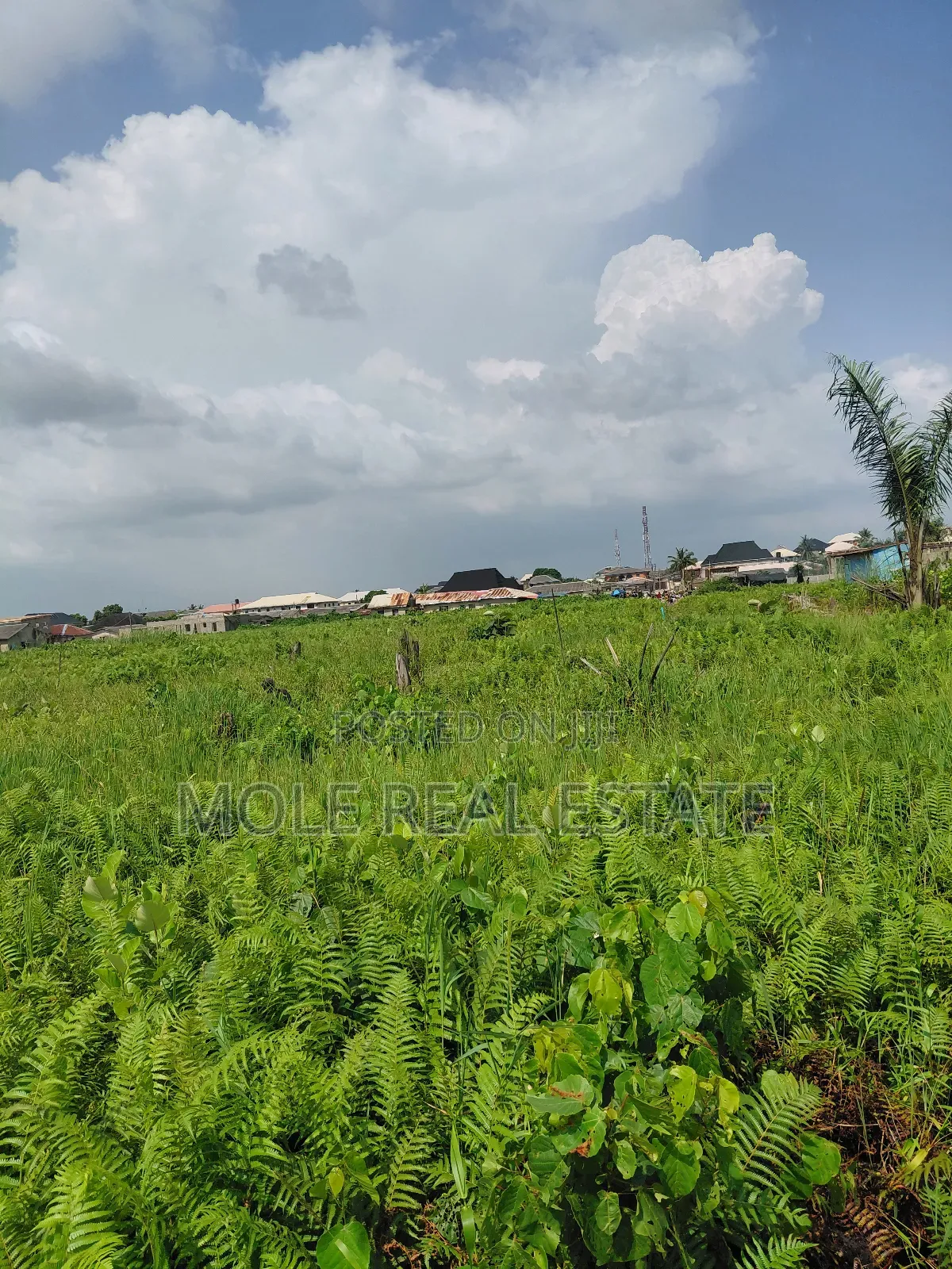 300sqm Unity Bustop Ijegemo Near Ikotun Alimosho in Ijegun