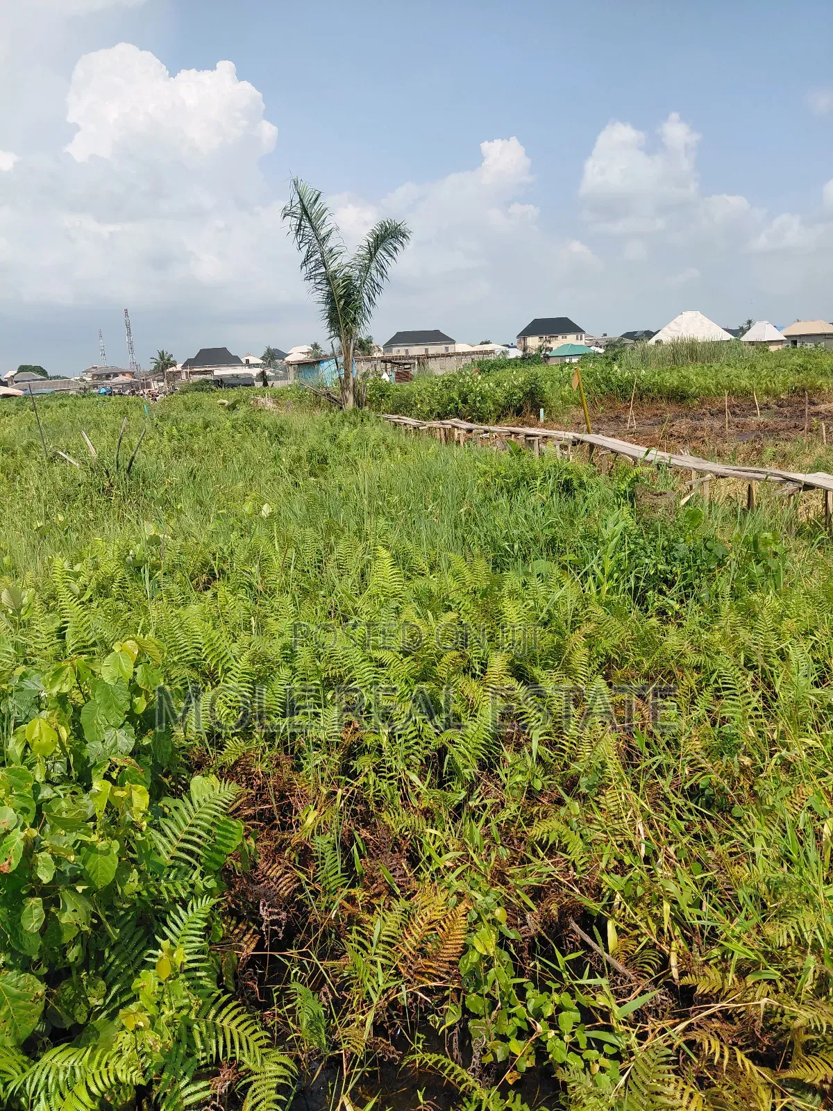 Over 400 Acers Of Land Sagamu Papalanto Ogun State in Sagamu