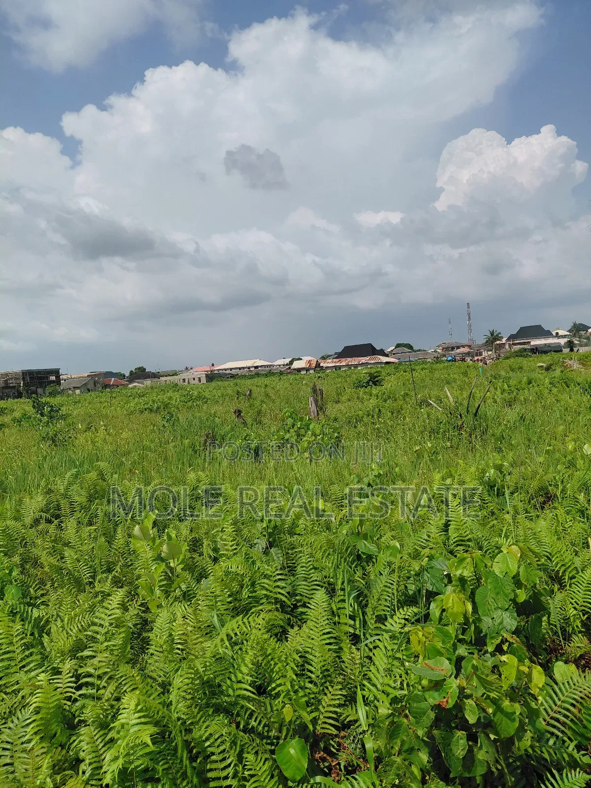 Over 400 Acers Of Land Sagamu Papalanto Ogun State in Sagamu