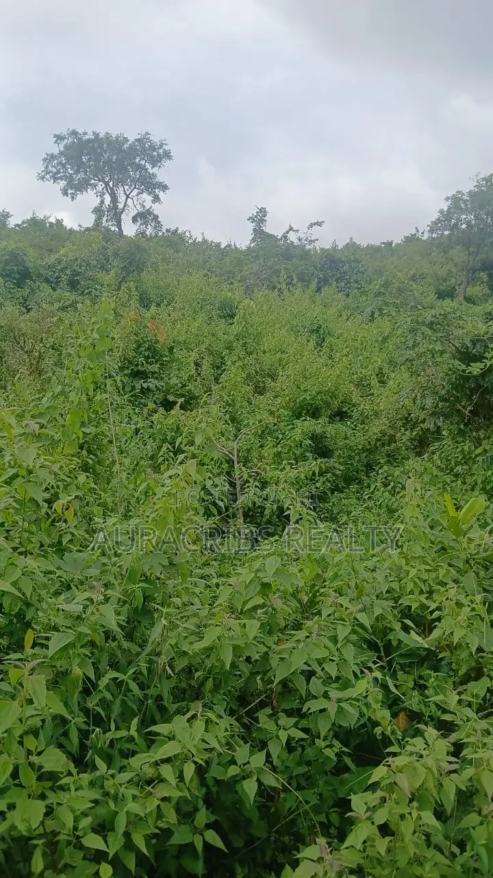 1.50 Hectares for Sale in Guzape 2 in Guzape District