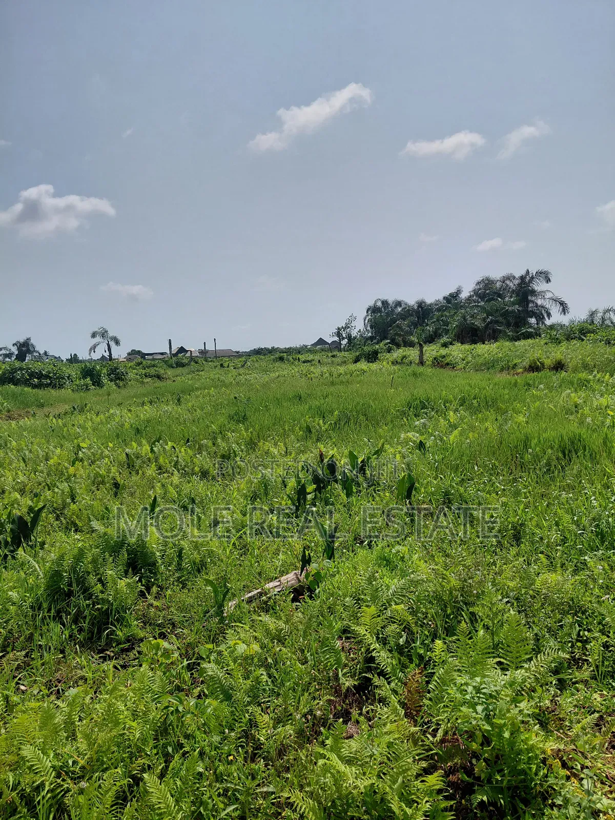 Distress Half Plot Ijegemo Interlocked New Road in Bourdillon