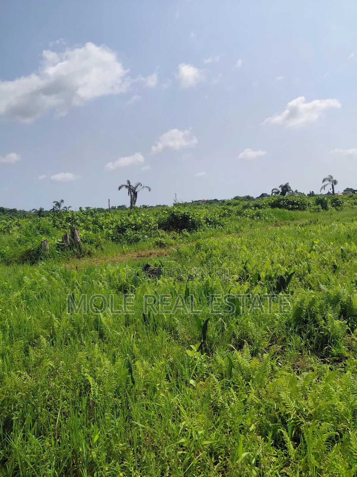 Distress Half Plot Ijegemo Interlocked New Road in Bourdillon