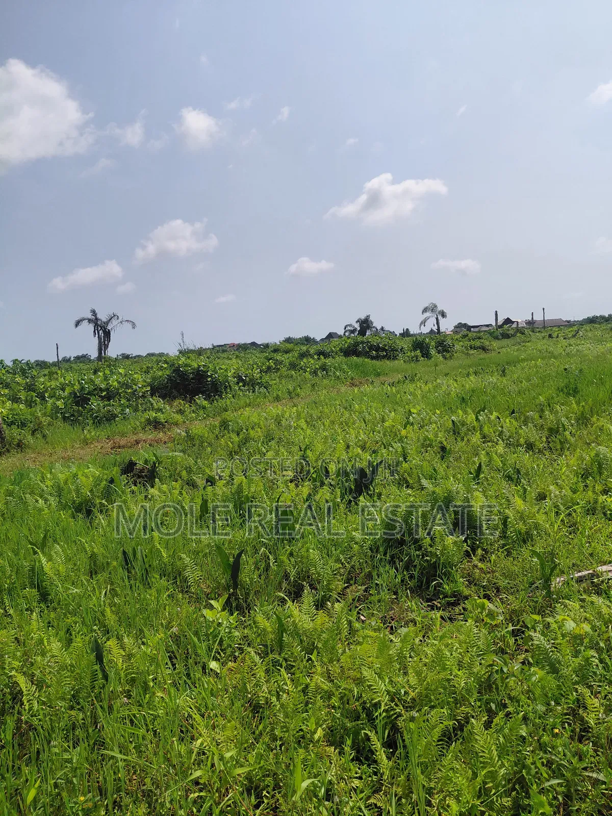 Distress Half Plot Ijegemo Interlocked New Road in Bourdillon
