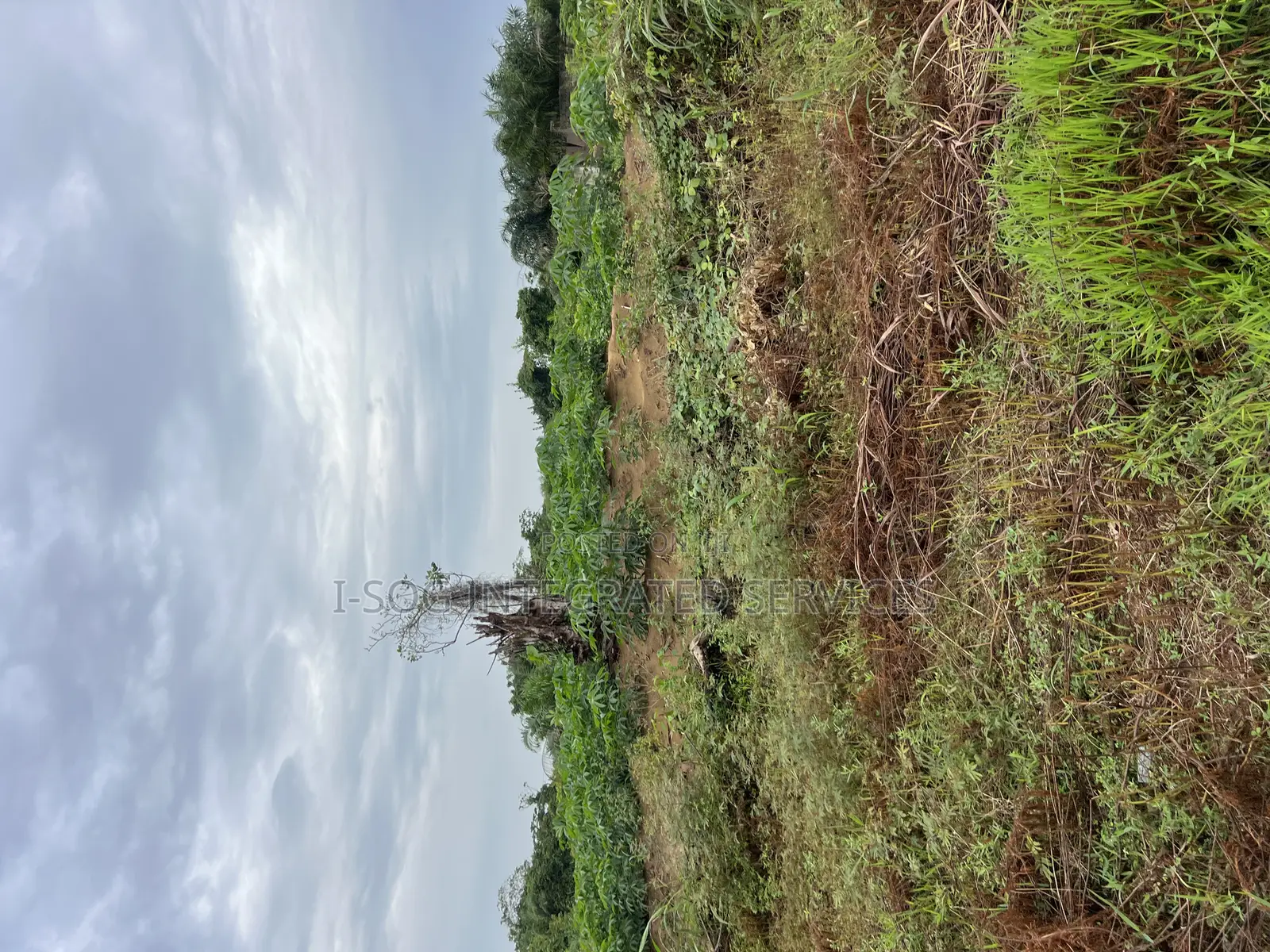 Land for Sale in Abijo
