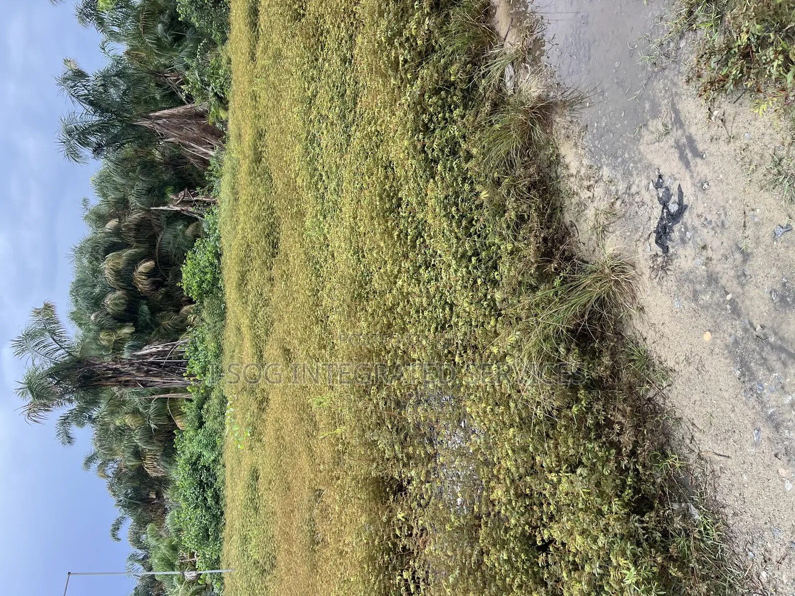 Land for Sale in Abijo