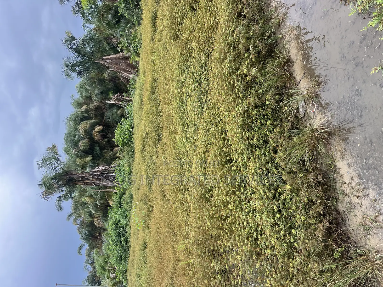 Land for Sale in Abijo