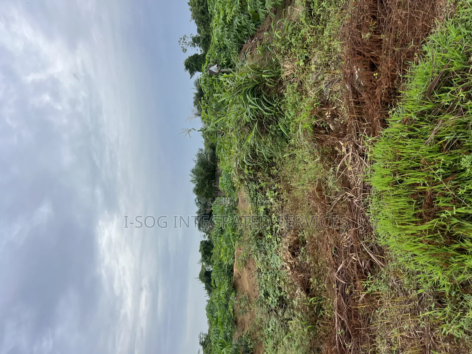 Land for Sale in Abijo