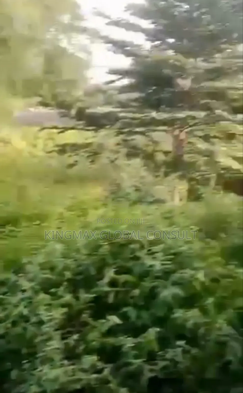 Sweet Commercial Land for Sale at Jahi by Gilmore Tared Well Fenced in Jahi