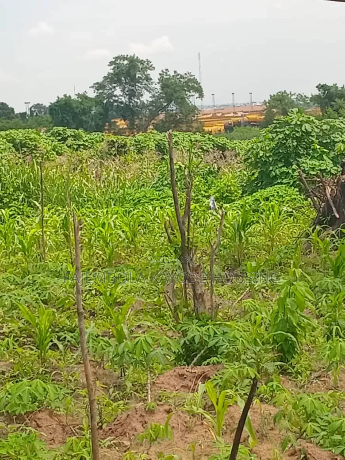 A Plot of Land at Akinyele in Moniya