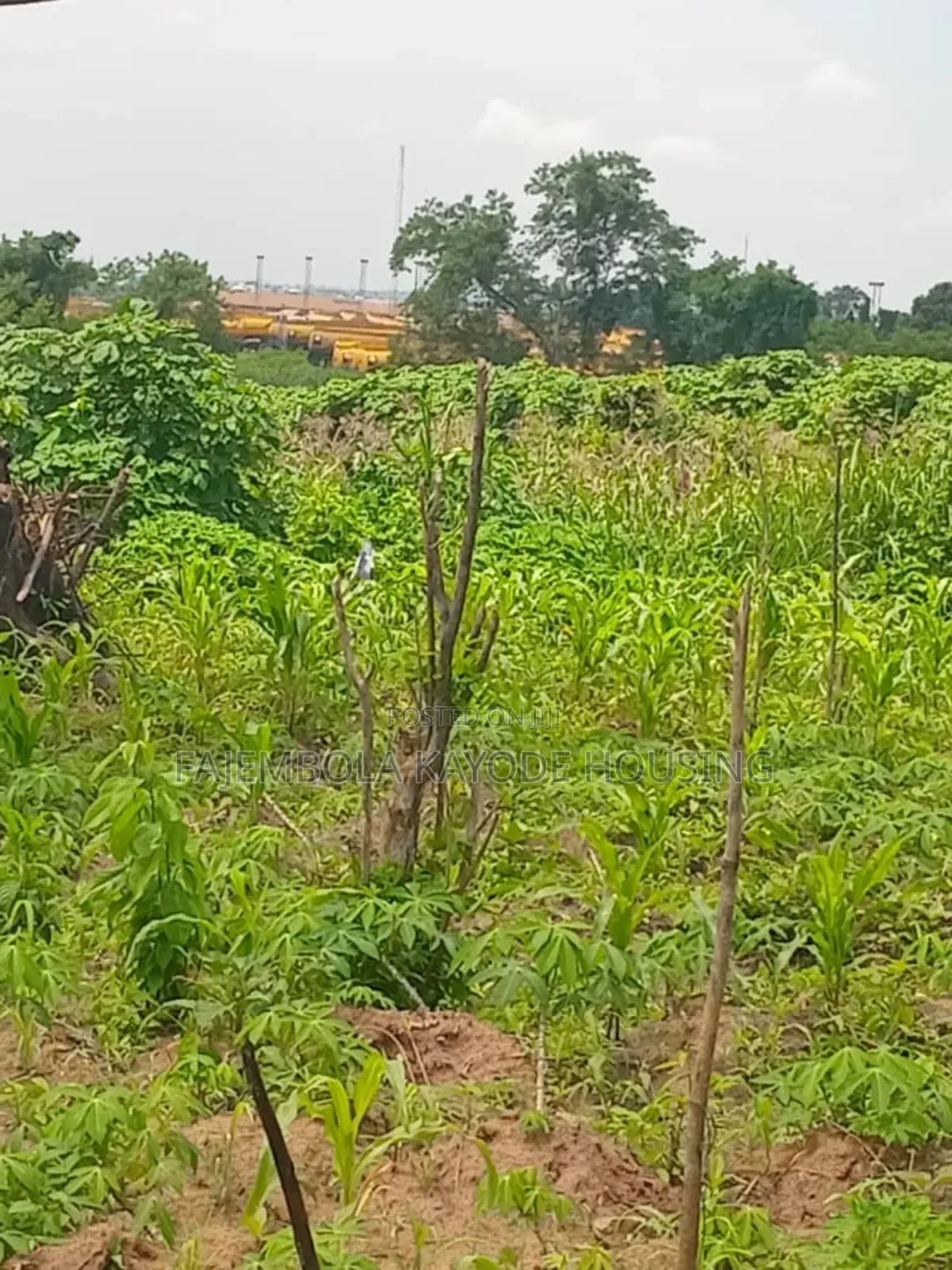 A Plot of Land at Akinyele in Moniya