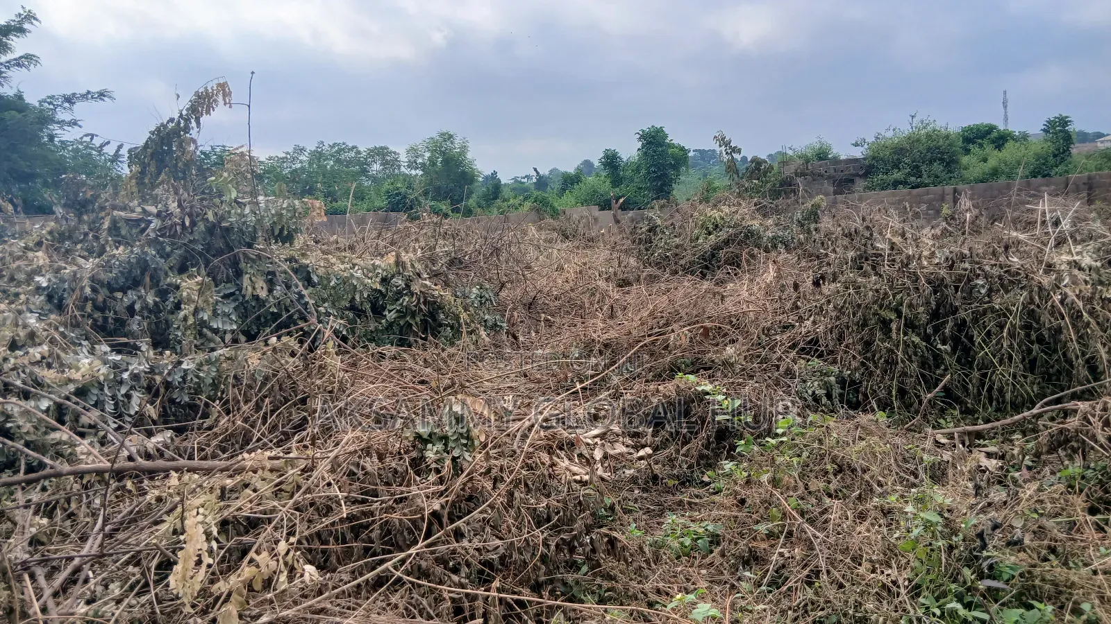 Standard Plot of Land for Sale in Ibadan