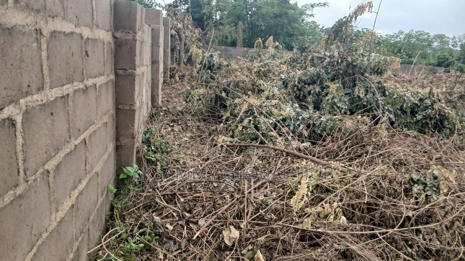 Standard Plot of Land for Sale in Ibadan
