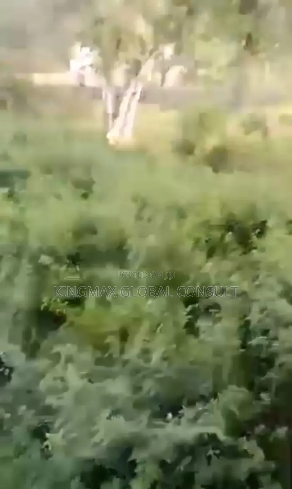 Residential Land at Asokoro Main*
 
Size: 3670sqm (Two Serial Plots) in Asokoro