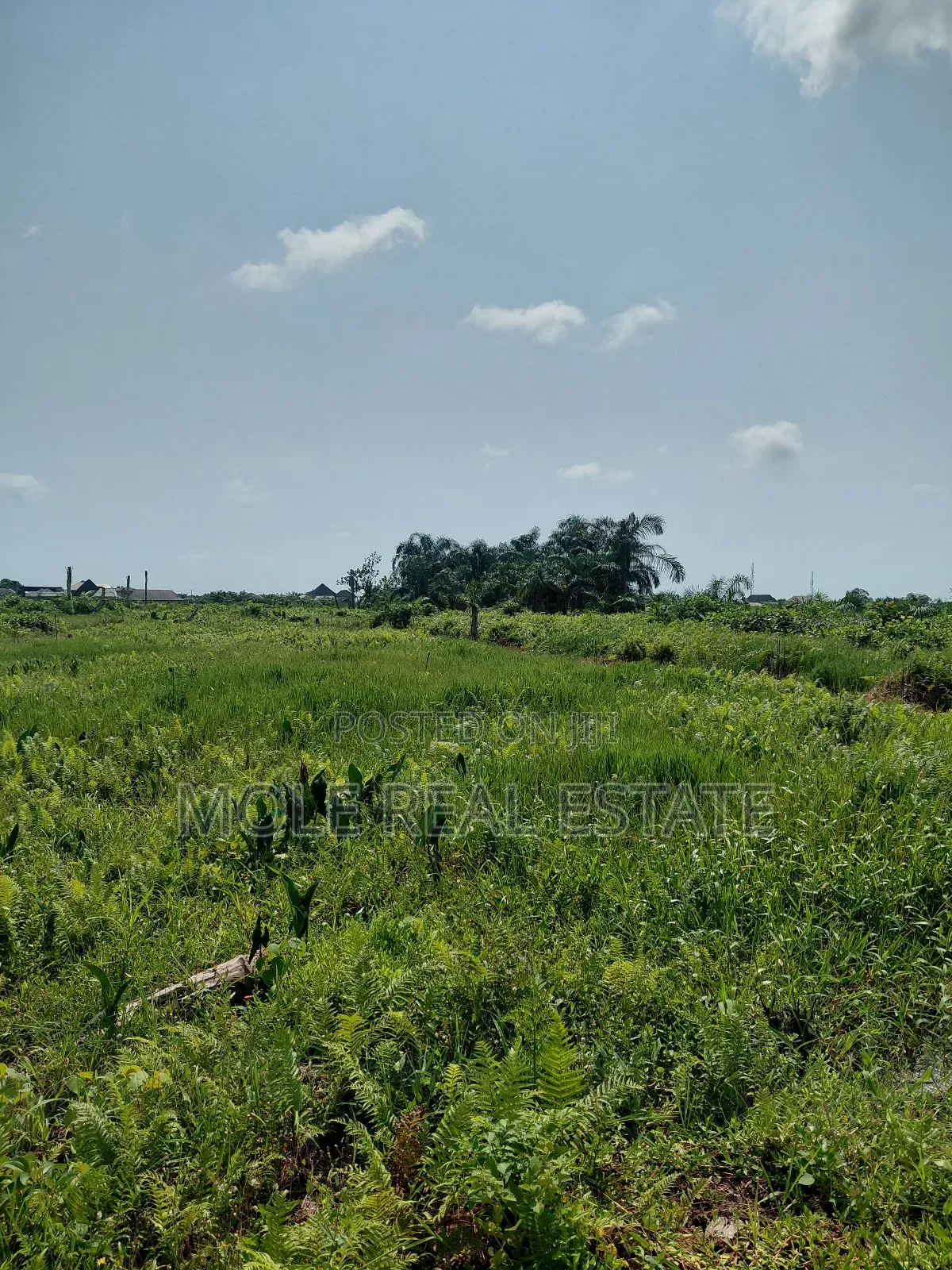 3600sqm ( One Acer) Commrcial Land Facing Alakuko Road in Ikeja GRA