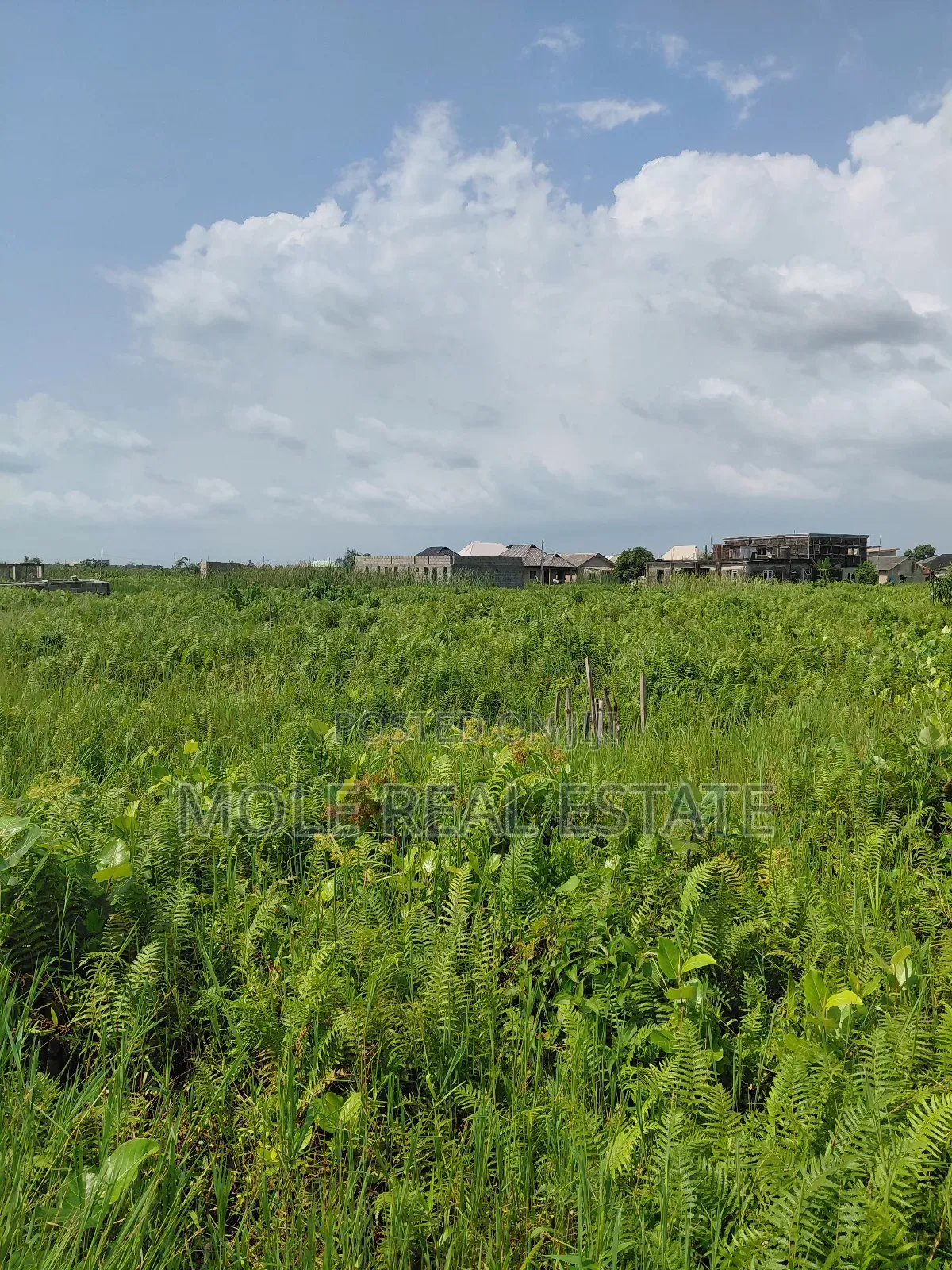 22 Plots of Commercial Land Oshodi Mushin Expressway in Ikeja GRA