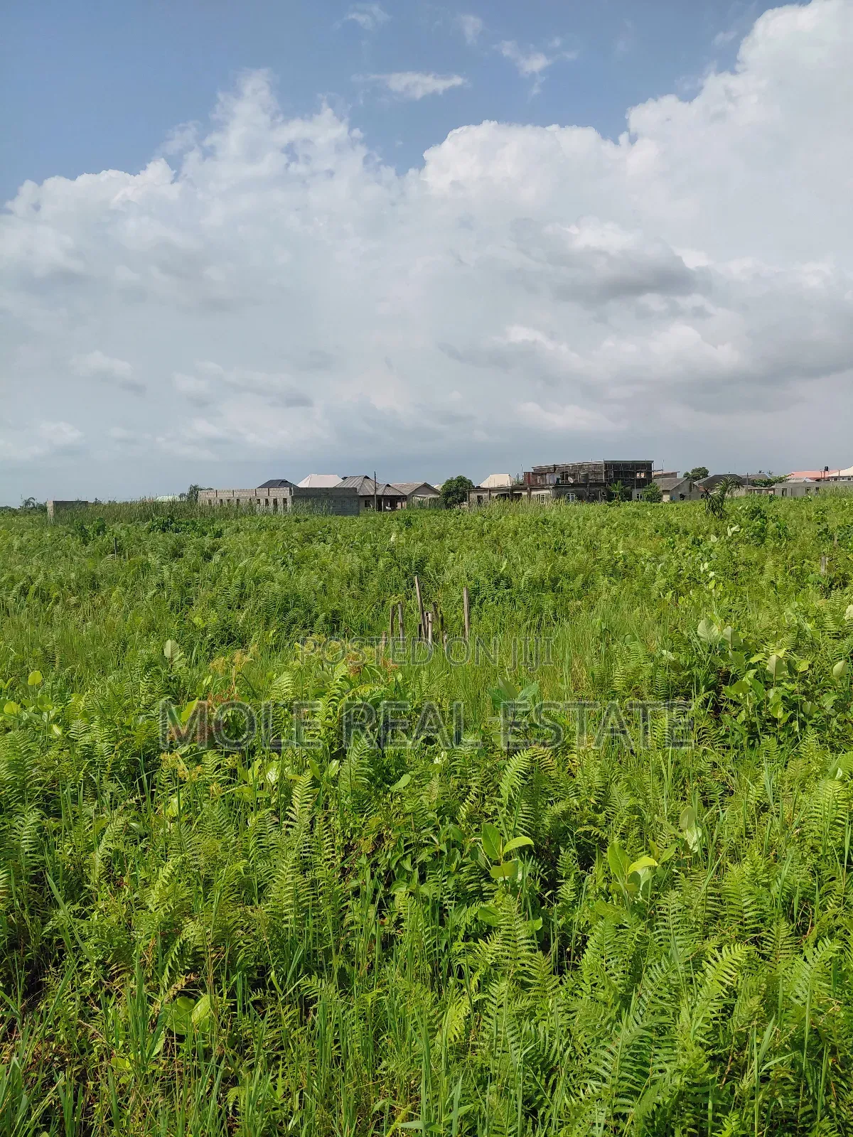 22 Plots of Commercial Land Oshodi Mushin Expressway in Ikeja GRA