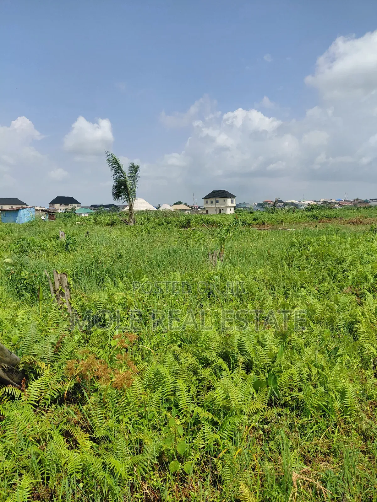 60ft by 170ft ( One and Half ) Kola/Meiron Lagos Abeokuta Expressway in Meiran