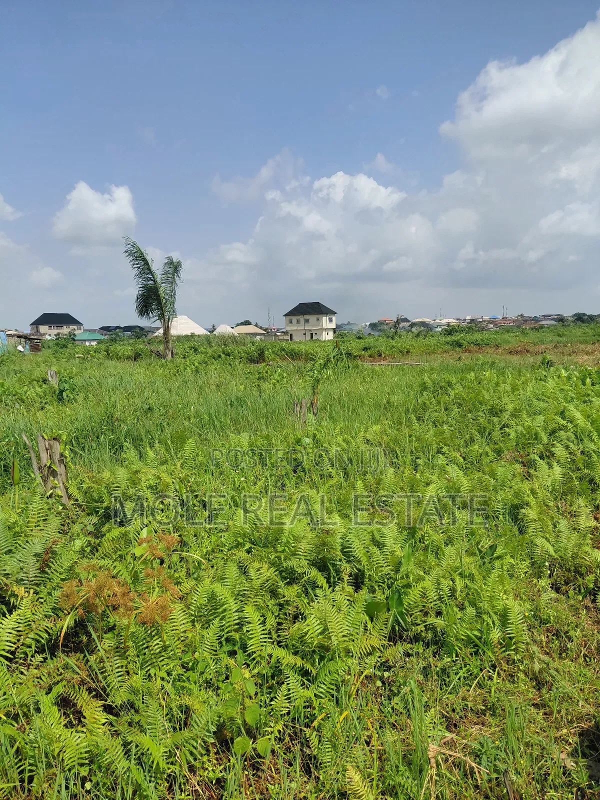 60ft by 170ft ( One and Half ) Kola/Meiron Lagos Abeokuta Expressway in Meiran