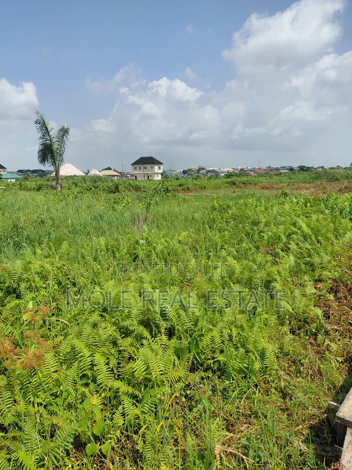 60ft by 170ft ( One and Half ) Kola/Meiron Lagos Abeokuta Expressway in Meiran