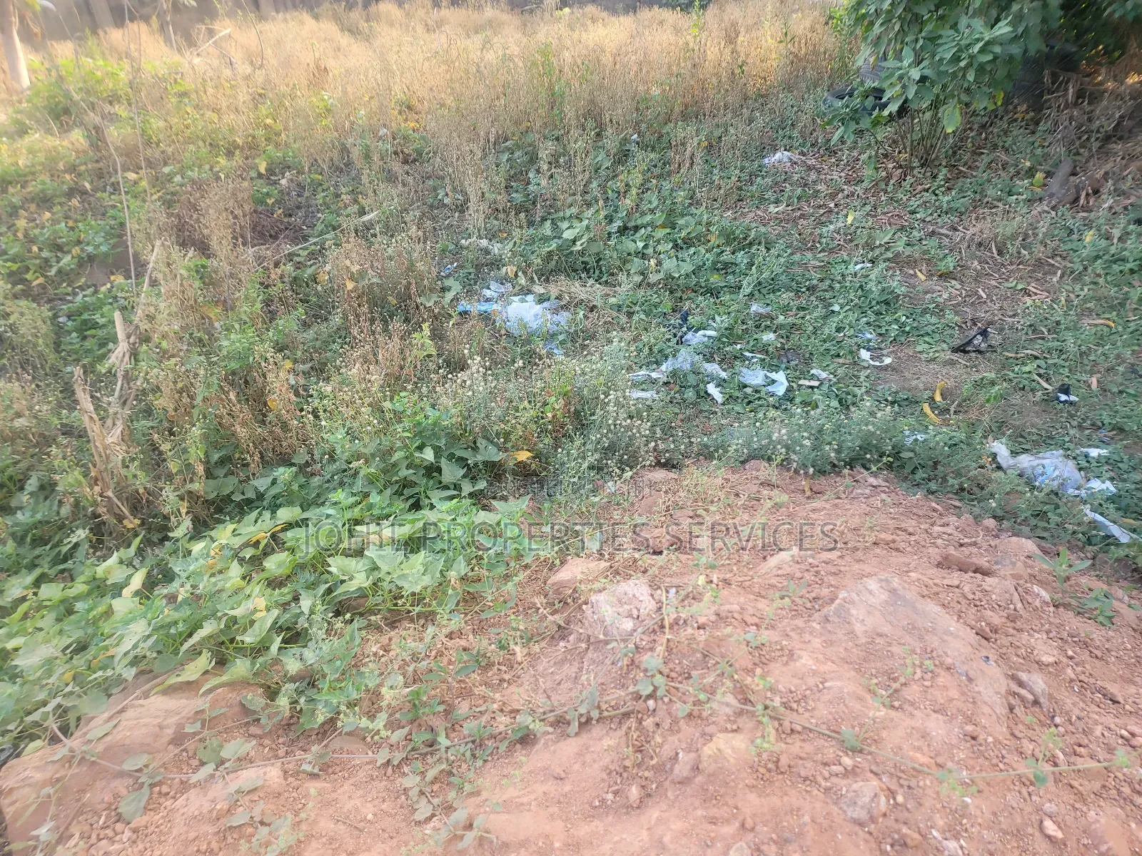 150 Hectares of Land for Sale at Wasa District With R of O for 17 Bil in Wasa