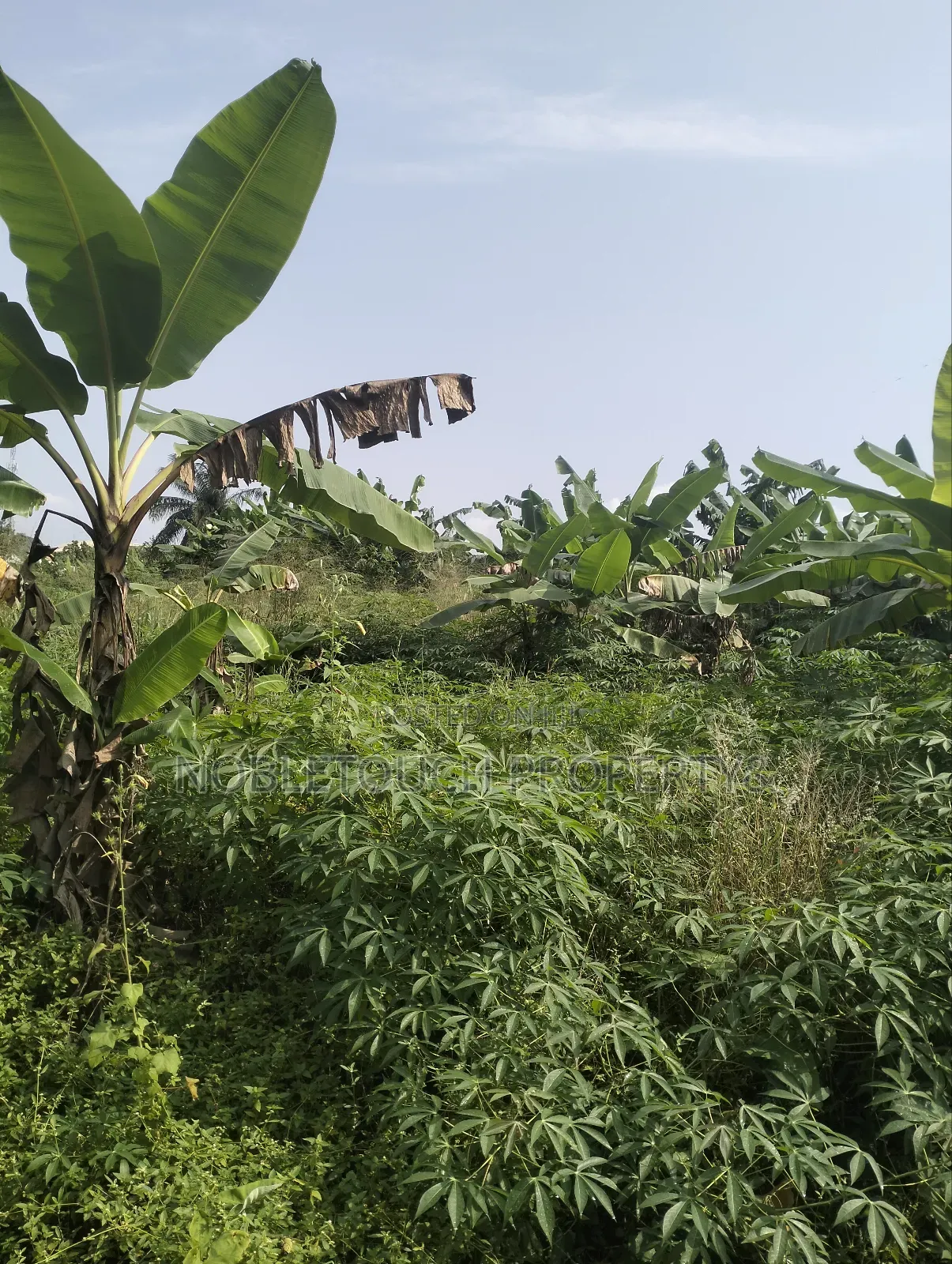 8 Half Plot of Land Along the Major Road With Enough Extension in Akesan