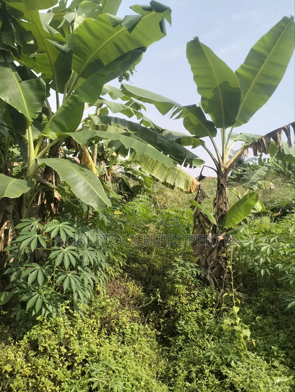 8 Half Plot of Land Along the Major Road With Enough Extension in Akesan