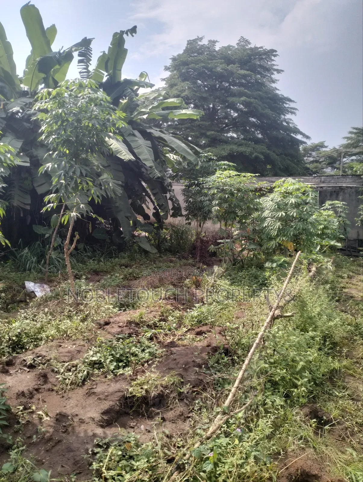 8 Half Plot of Land Along the Major Road With Enough Extension in Akesan