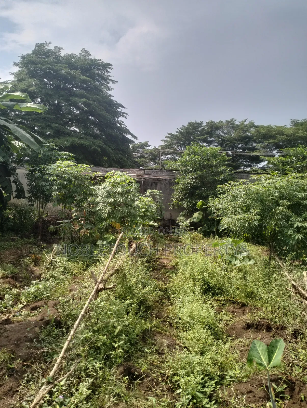 8 Half Plot of Land Along the Major Road With Enough Extension in Akesan