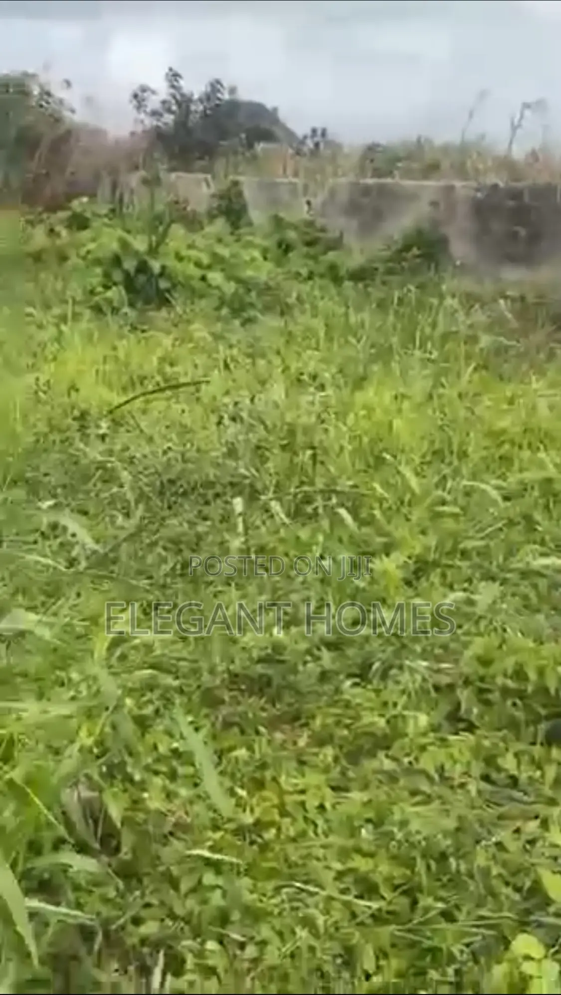 Half Plot of Dry Land, Diamond Estate Omonile, Abule Ado in Abule Ado