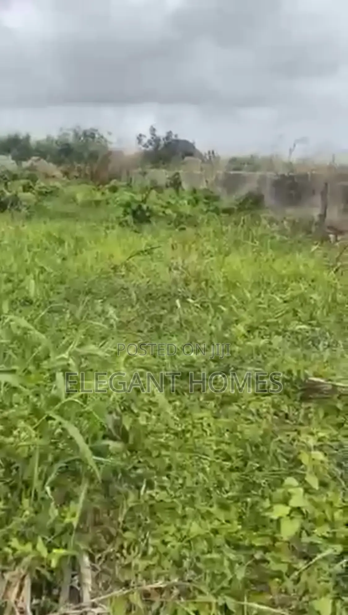 Half Plot of Dry Land, Diamond Estate Omonile, Abule Ado in Abule Ado