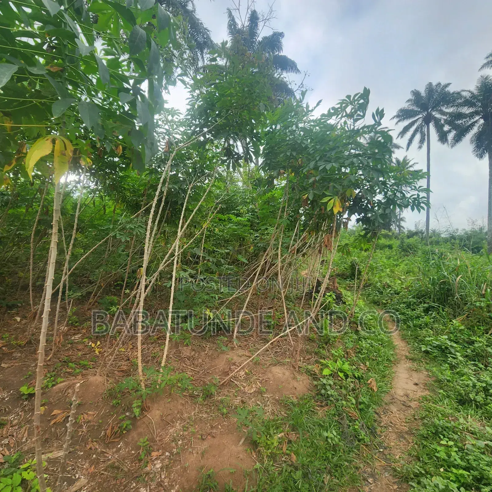 Acres of Farm Land at Olojo Vill. Mele, Off Moniya/Ijaye Road in Moniya