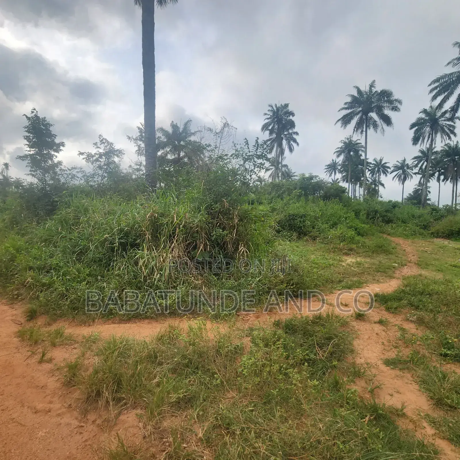 Acres of Farm Land at Olojo Vill. Mele, Off Moniya/Ijaye Road in Moniya