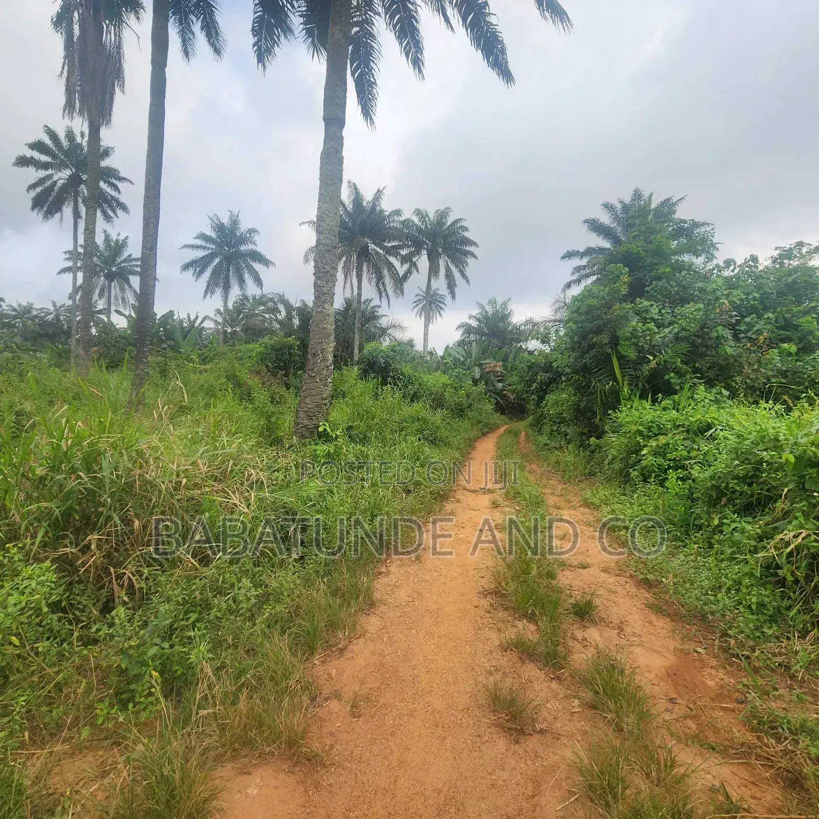 Acres of Farm Land at Olojo Vill. Mele, Off Moniya/Ijaye Road in Moniya