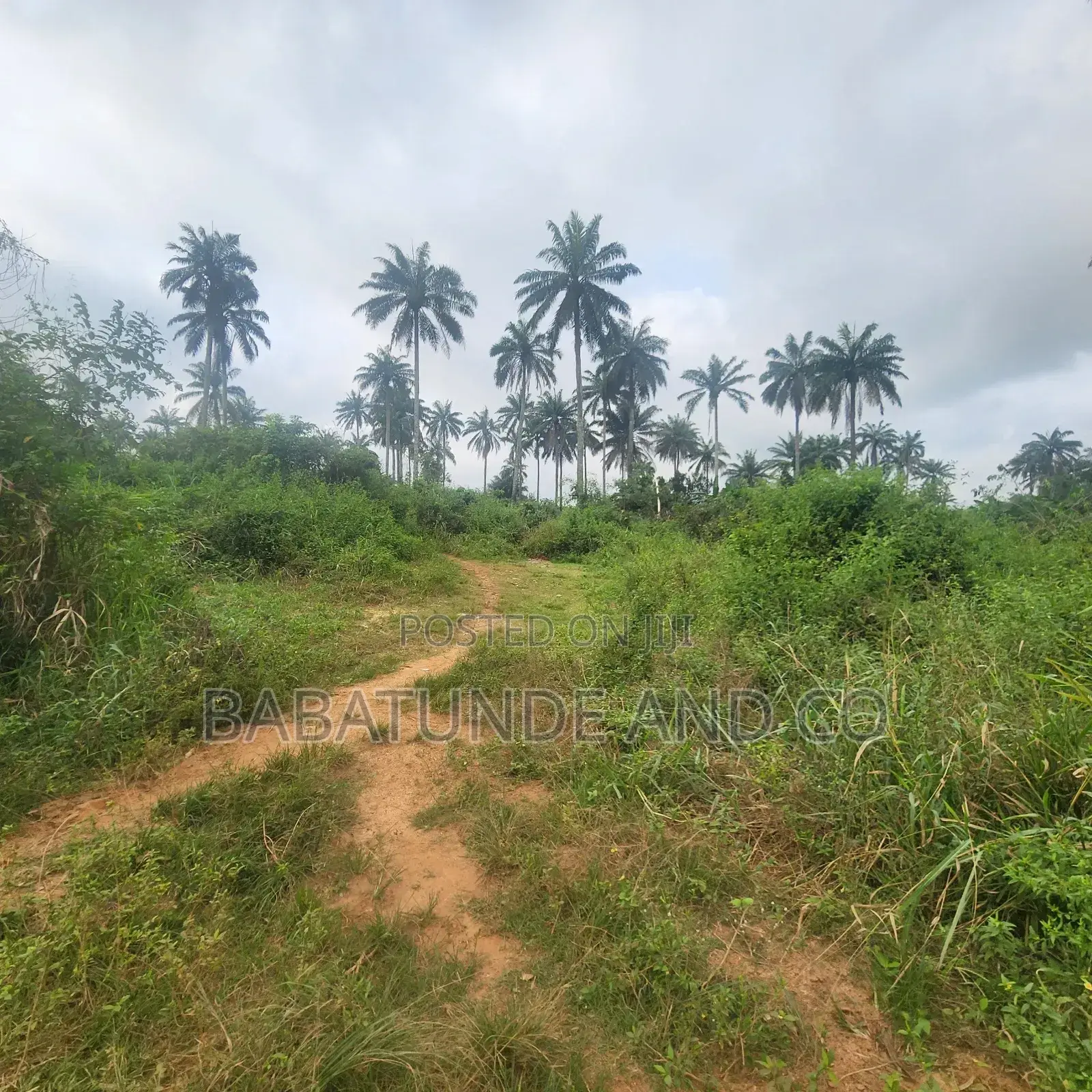 Acres of Farm Land at Olojo Vill. Mele, Off Moniya/Ijaye Road in Moniya