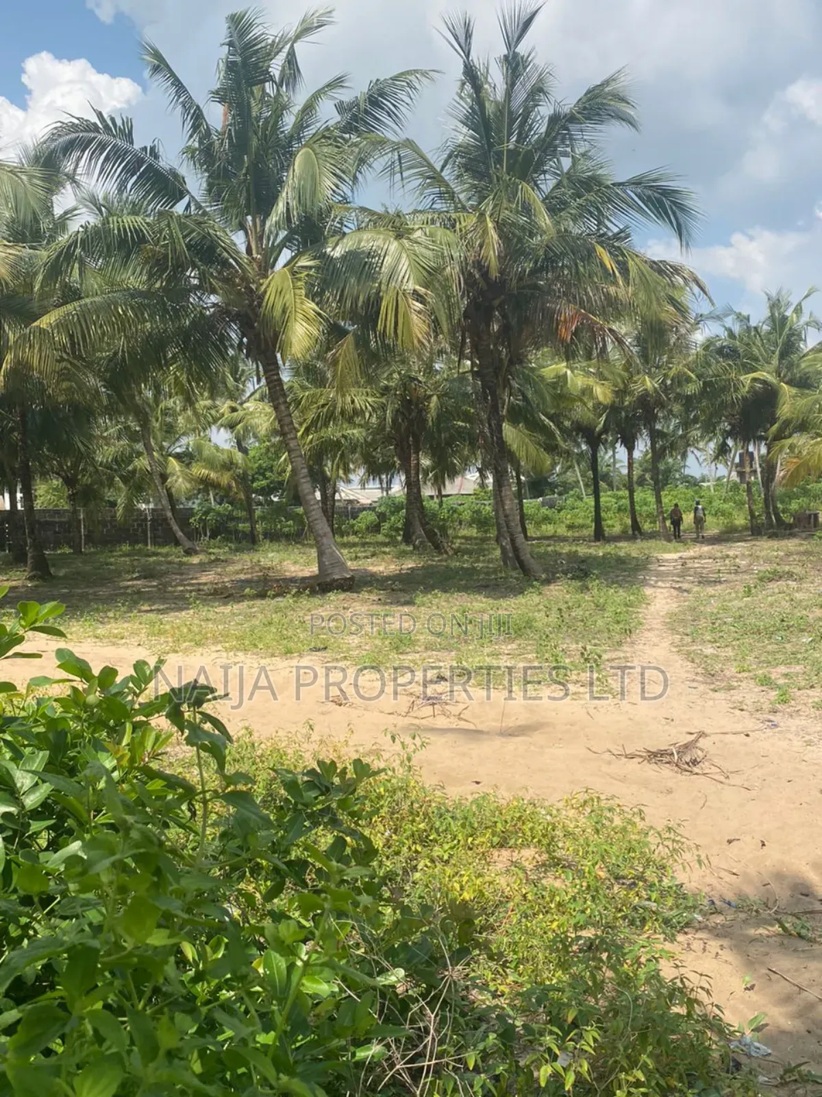 Beachfront Land for Sale at Lekki Free Trade Zone in Lekki Free Trade Zone