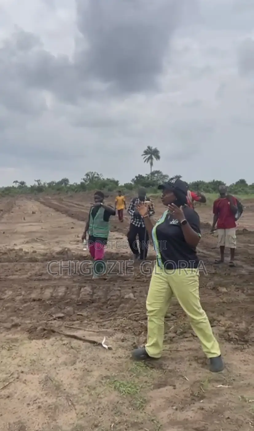 Plots of Land for Sale at Ngor Okpala Imo State Near Zion Ministry in Ngor-Okpala