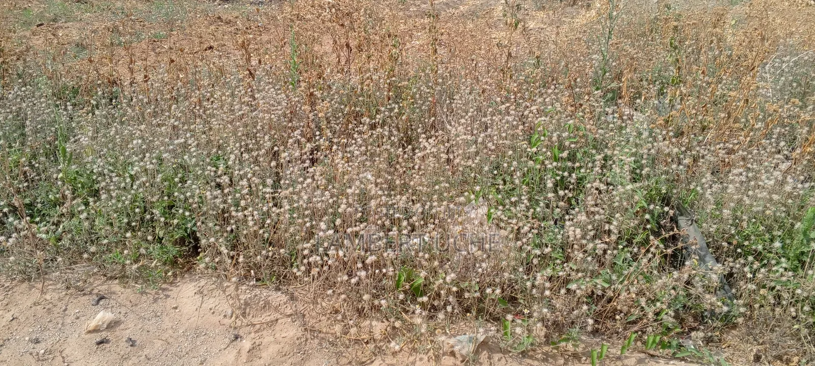 Land for Sale at Lugbe in Lugbe District