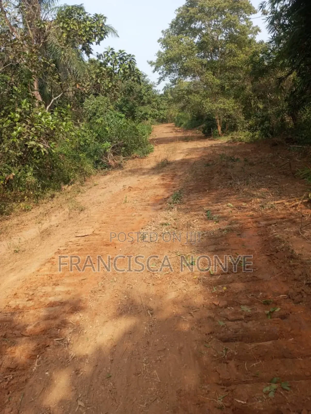 Genuine Plots of Land for Sale in Enugu
