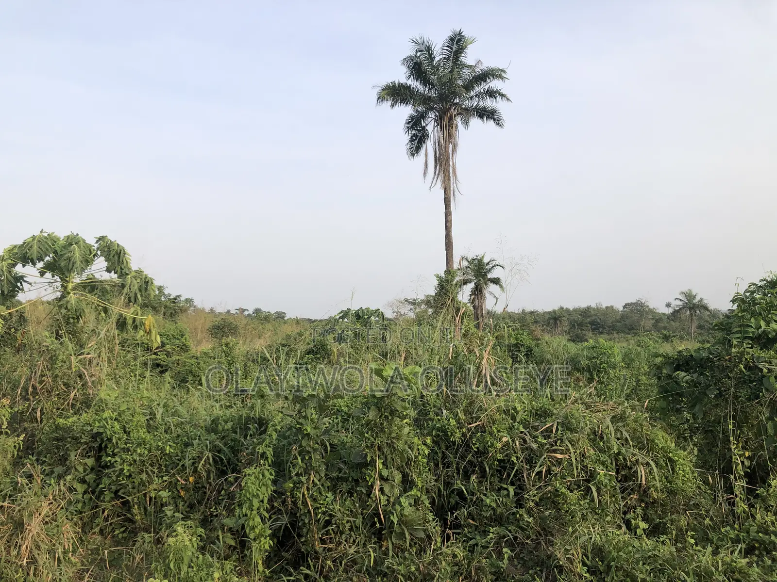 Farm With Ease In Ogun State, Nigeria in Obafemi-Owode