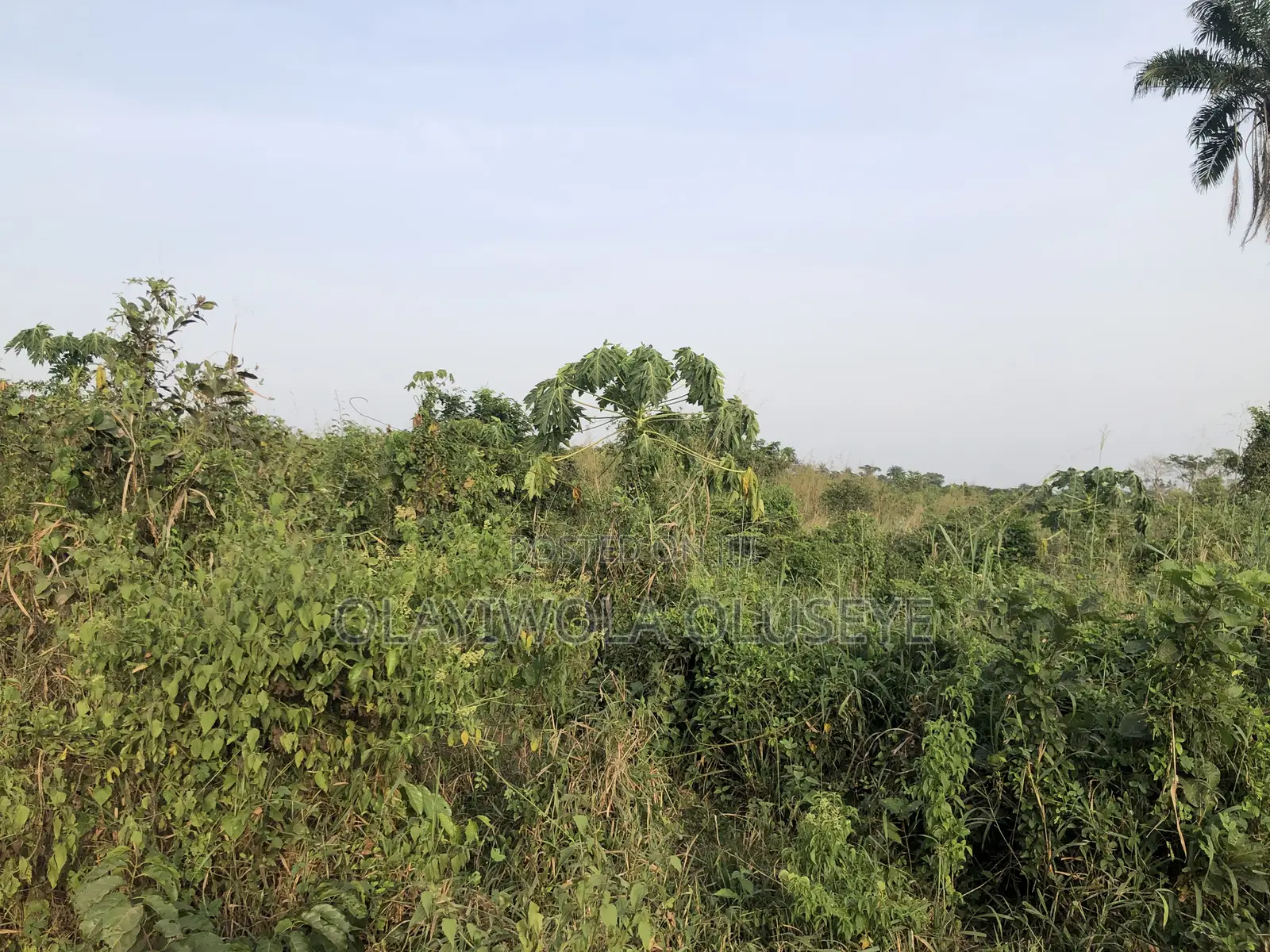 Farm With Ease In Ogun State, Nigeria in Obafemi-Owode