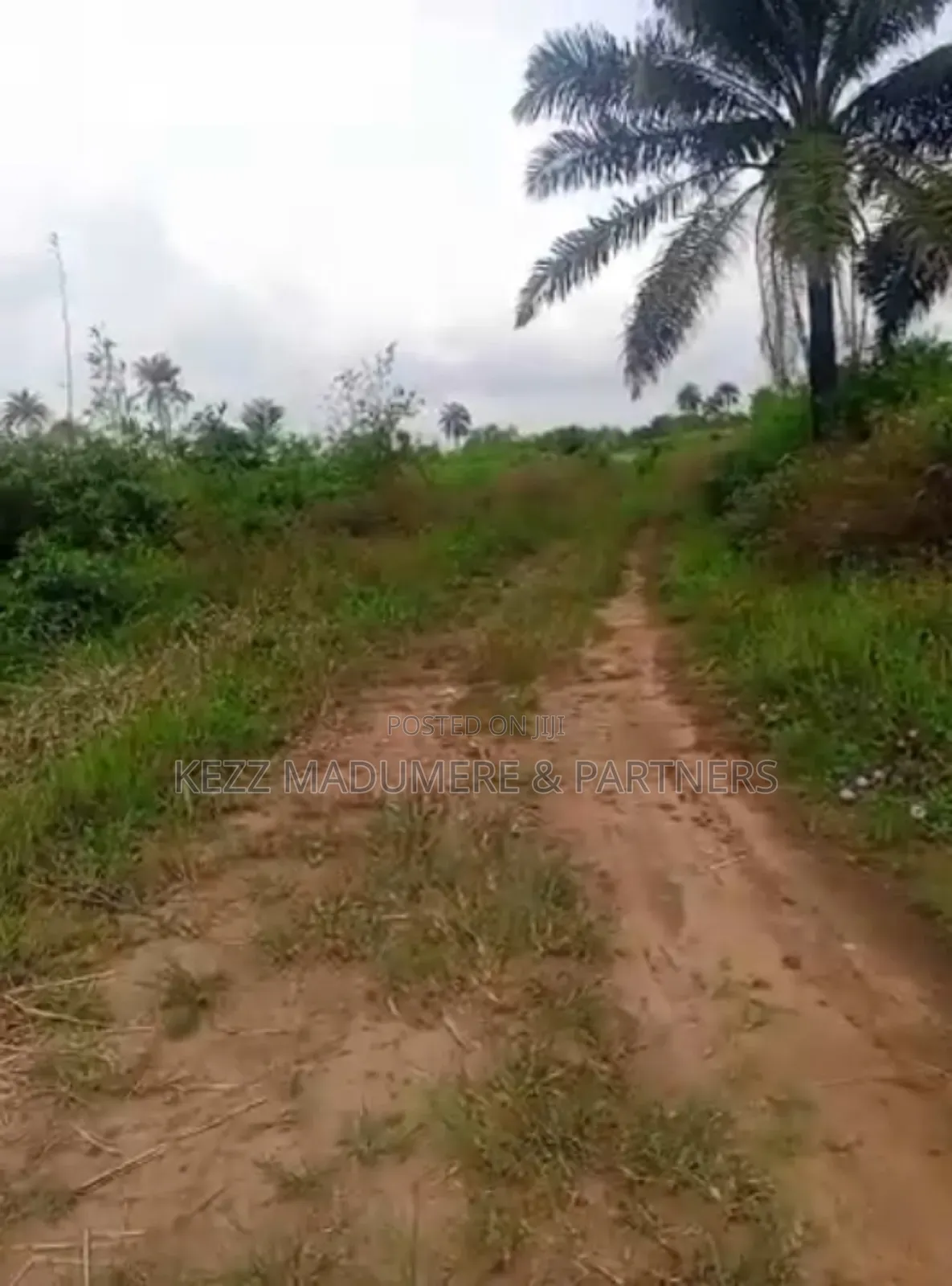 For Sale : 1.6 Hectares Near Uniuyo Teaching Hospital, Uyo in Uyo