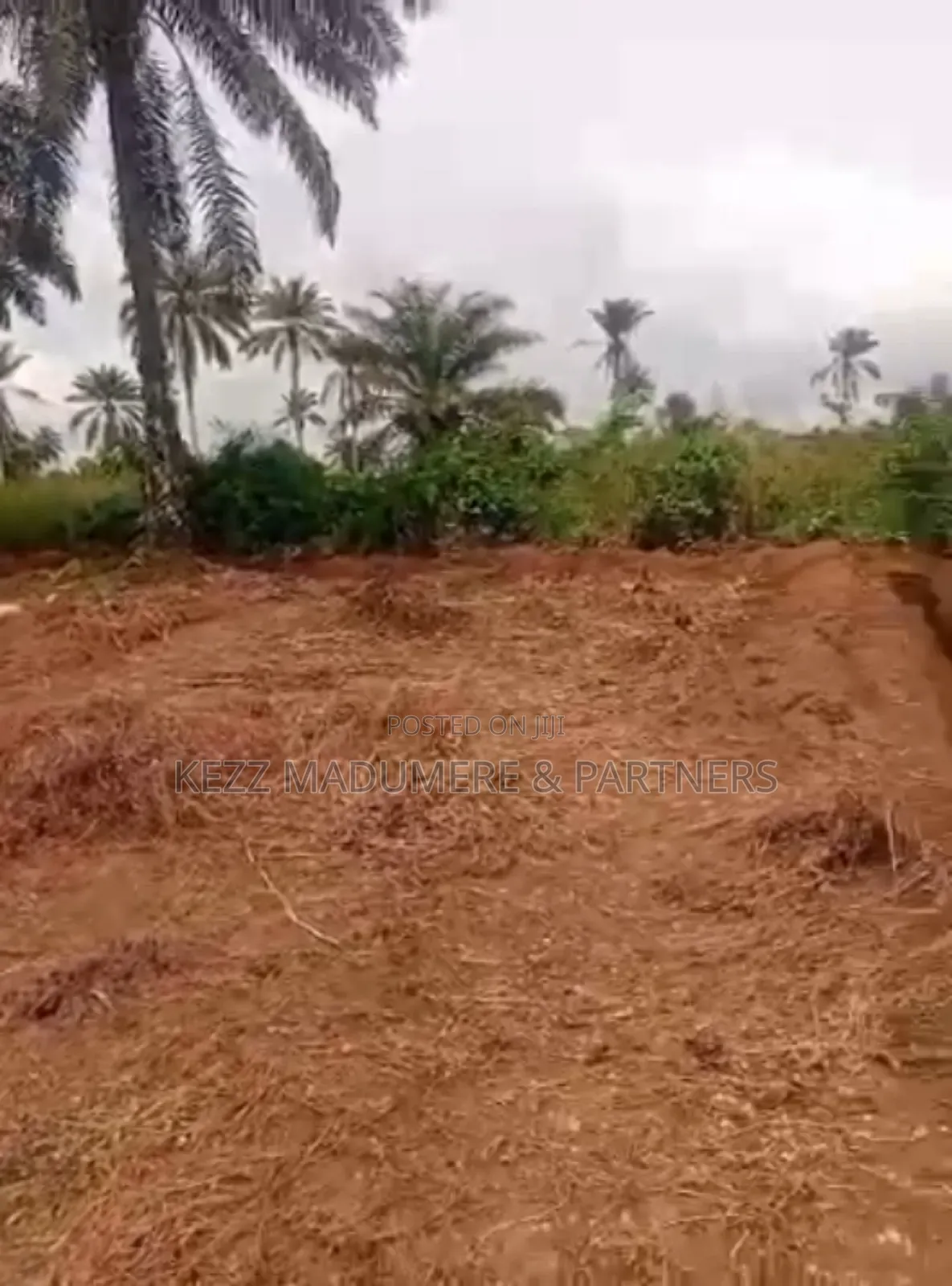 For Sale : 1.6 Hectares Near Uniuyo Teaching Hospital, Uyo in Uyo