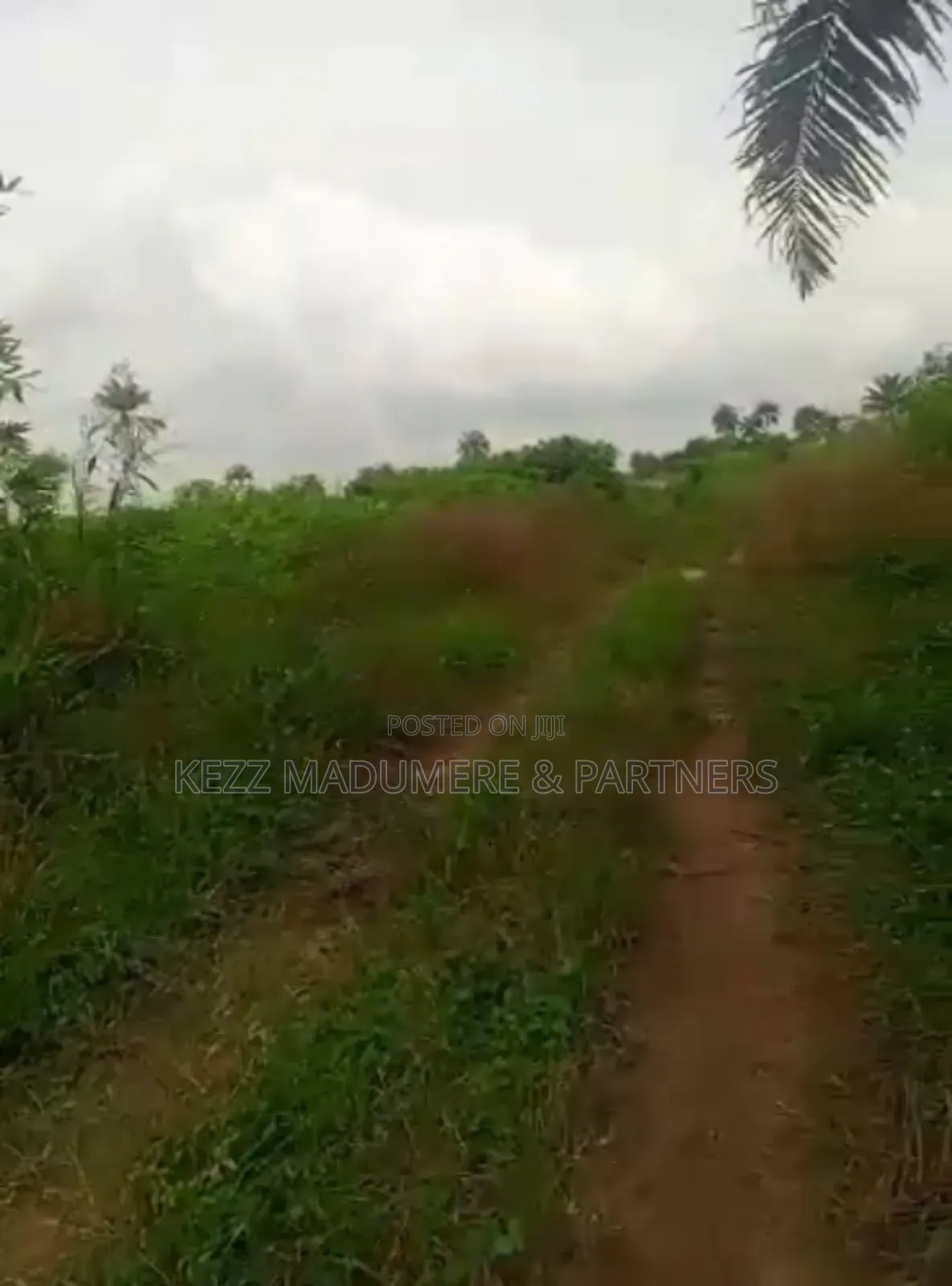For Sale : 1.6 Hectares Near Uniuyo Teaching Hospital, Uyo in Uyo