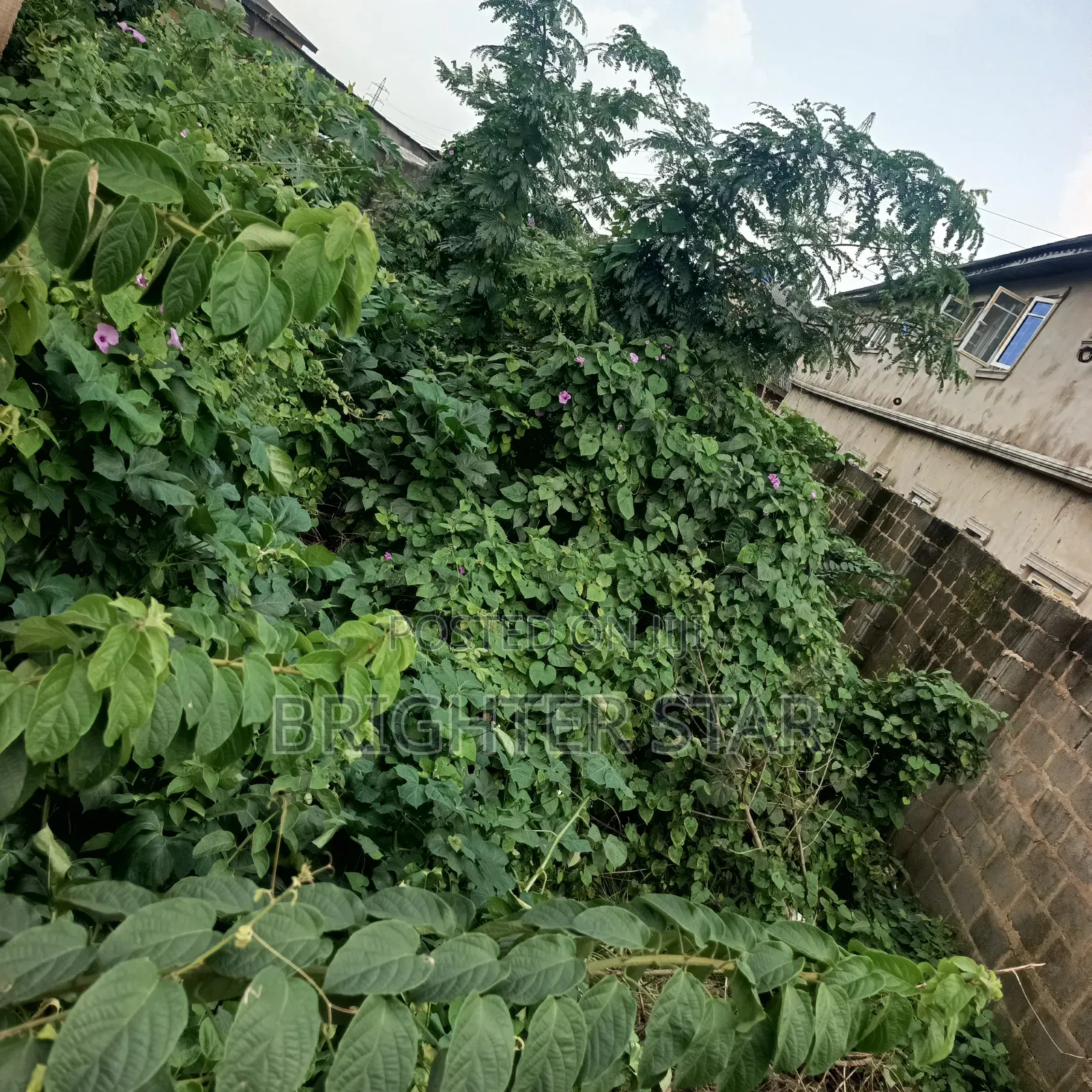 Half Plot of Land at Megida B/Stop in Ayobo