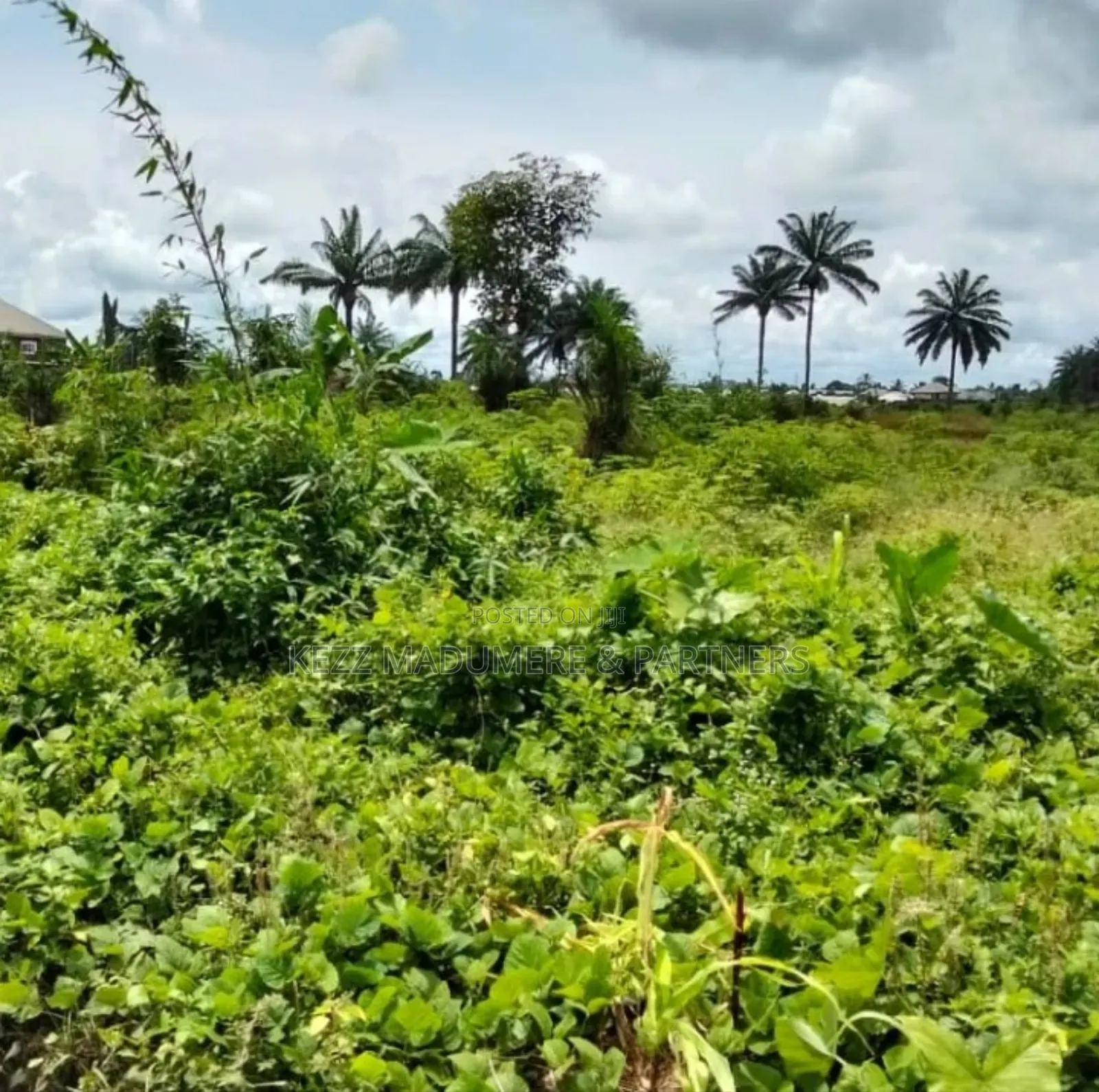 For Sale : 10.6 Hectares Near Ibom Specialist Hospital, at Itam 2 in Uyo